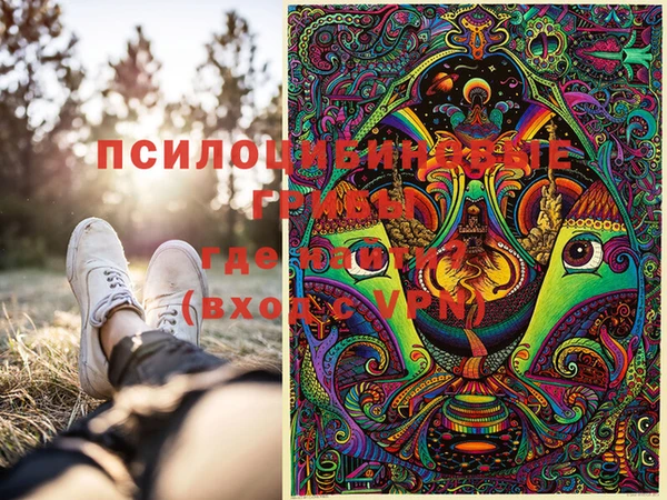 шишки Балабаново