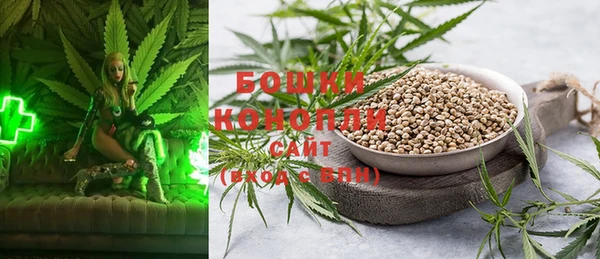 шишки Балабаново