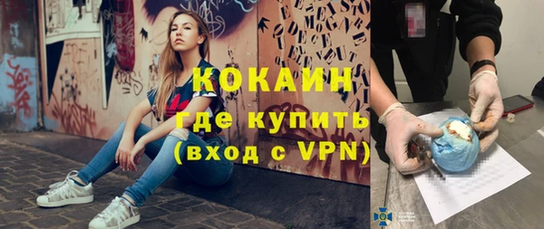 шишки Балабаново