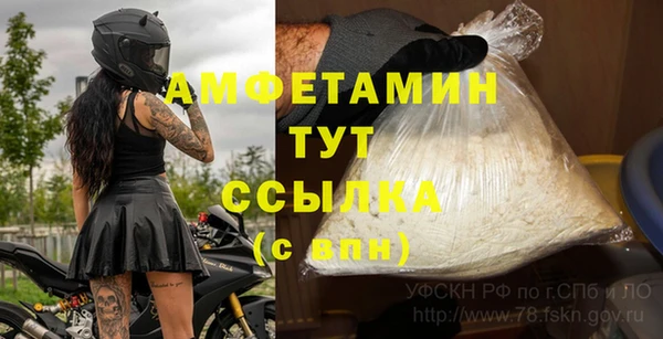 шишки Балабаново