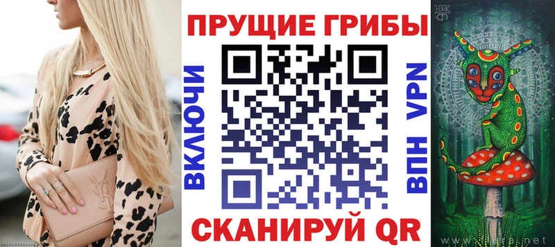 закладка shop состав Галлюциногенные грибы мицелий Усть-Катав